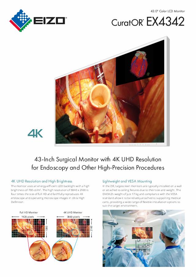 EIZO 43