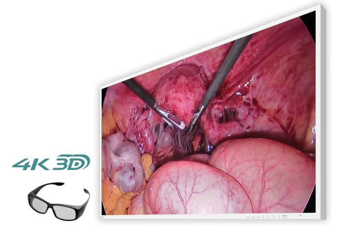 EIZO 43
