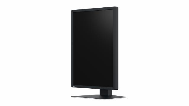 EIZO 21