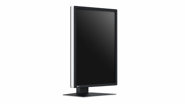 EIZO 2MP Color 21,3