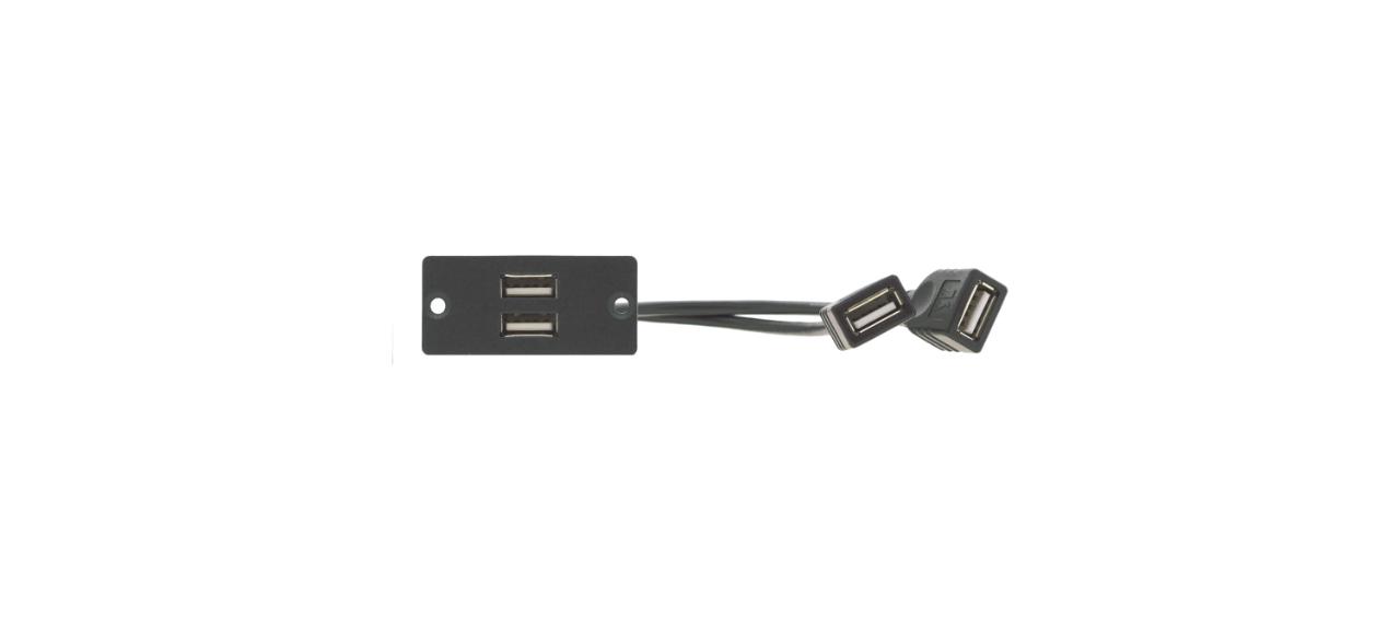 KRAMER Wall Plate insert - 2 x USB 2.0 (A/A)